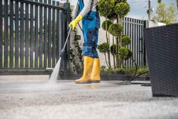 Best Dumpster Area Cleaning  in Two Harbors, MN